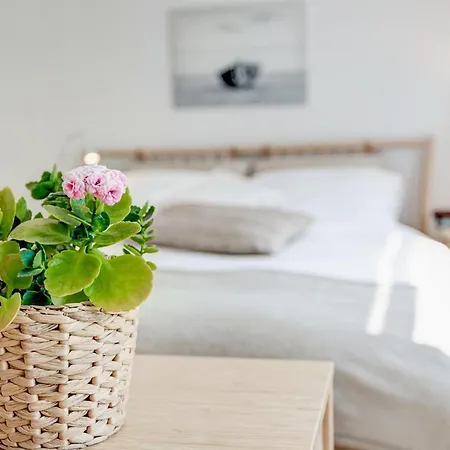 Gorgeous Apartment In Domyslow *